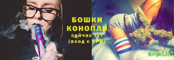 эйфоретик Богданович