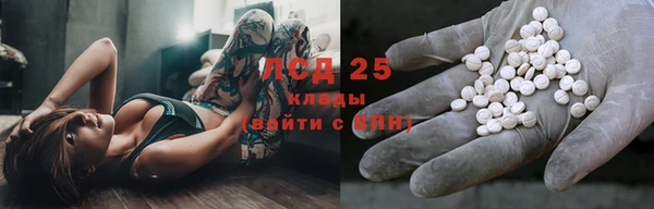 эйфоретик Богданович