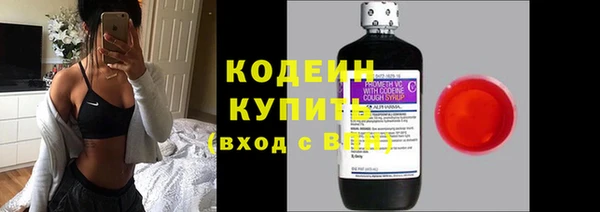 эйфоретик Богданович