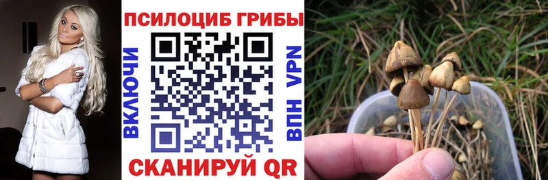 Галлюциногенные грибы Psilocybine cubensis  Долинск 